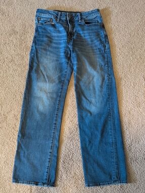 American Eagle Outfitters Men's Medium Blue Straight Jeans